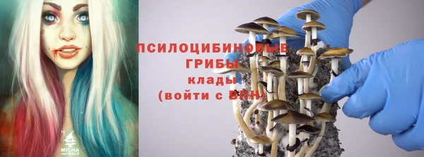 молекула духа Абинск