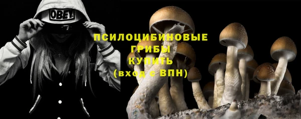прущие крисы Алексин