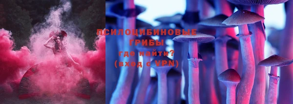 ешки Алексеевка