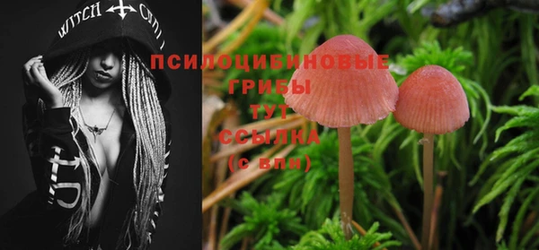 прущие крисы Алексин