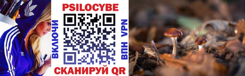 Галлюциногенные грибы GOLDEN TEACHER Луга
