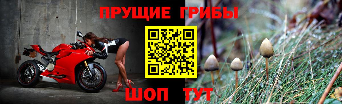 Луга  Галлюциногенные грибы мицелий  Псилоцибиновые грибы Psilocybine cubensis  Вход с VPN 