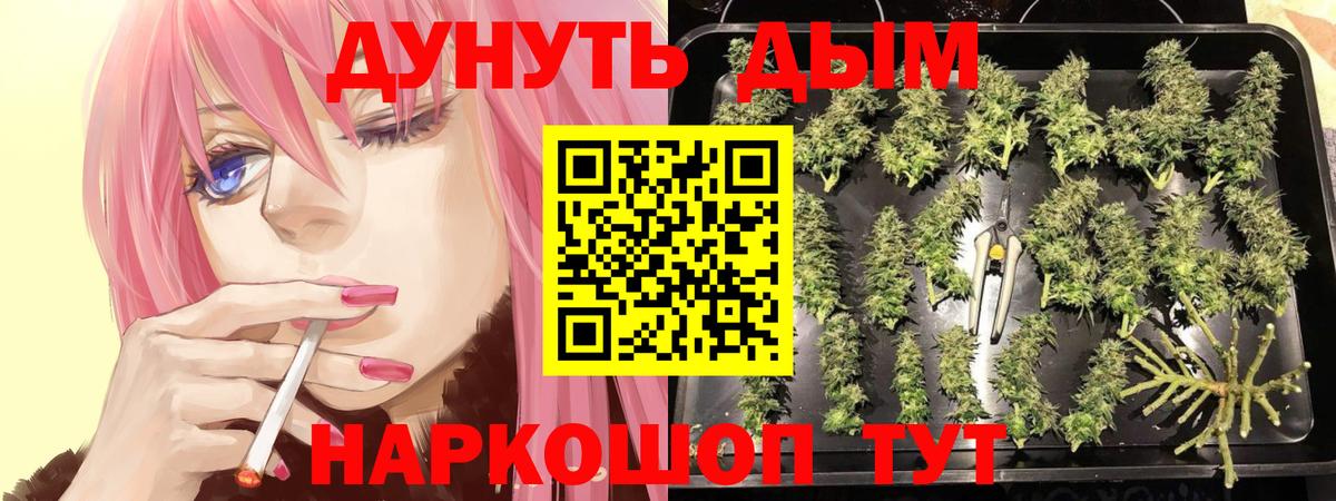 Конопля Amnesia  Вход с VPN  Луга  Бошки Шишки OG Kush  Марихуана LSD WEED 